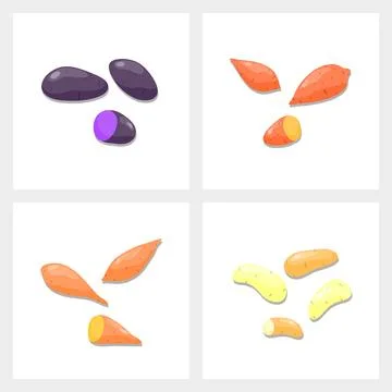 Different potato varieties set. Stock Illustration