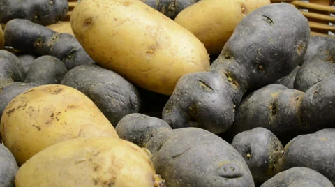 Different potatoes Stock Footage 35870328