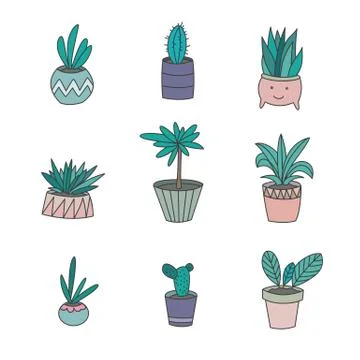 Different Potted Flowers イラスト素材