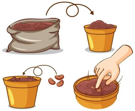 Different process of planting tree Illustrazione stock