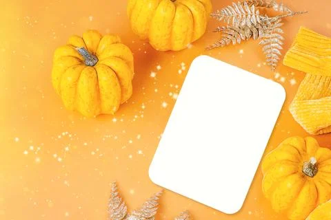 Different pumpkin varieties.Orange background.Space for text and copy space Stock Illustration