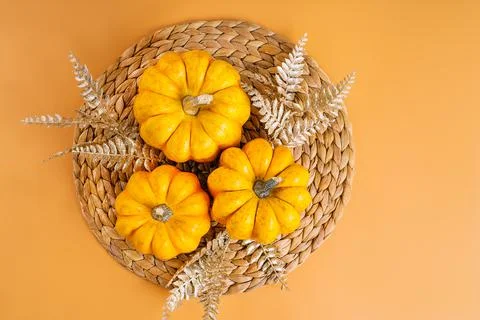 Different pumpkin varieties.Orange background.Space for text and copy space Stock Illustration