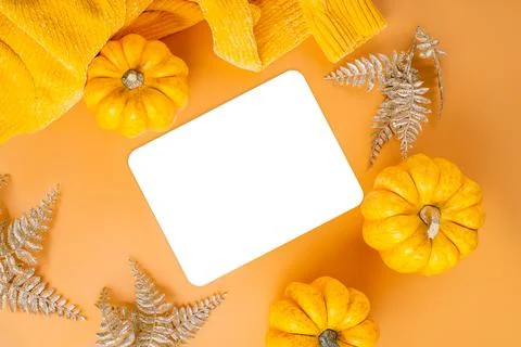 Different pumpkin varieties.Orange background.Space for text and copy space Stock Illustration