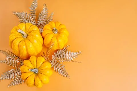 Different pumpkin varieties.Orange background.Space for text and copy space Stock Illustration