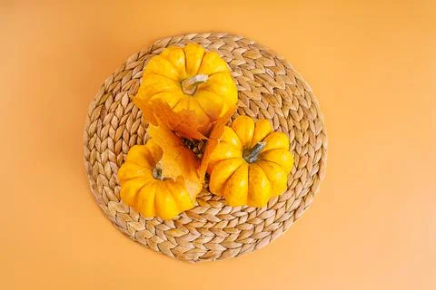 Different pumpkin varieties.Orange background.Space for text and copy space Stock Photos