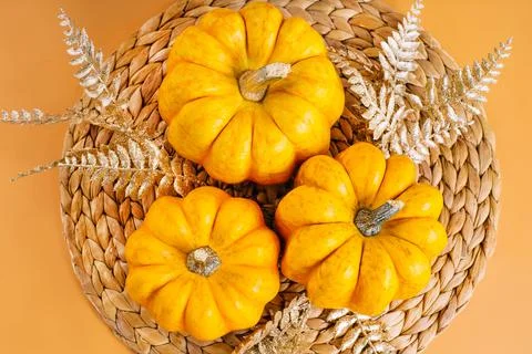 Different pumpkin varieties.Orange background.Space for text and copy space Stock Photos