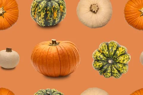Different pumpkins are arranged in a repeating design on an orange backgrou.. Stock Photos