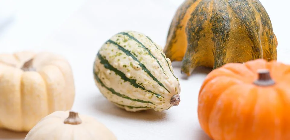 Different pumpkins Stock Photos