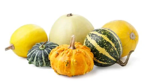 Different pumpkins on a white background. Isolated Stock Photos