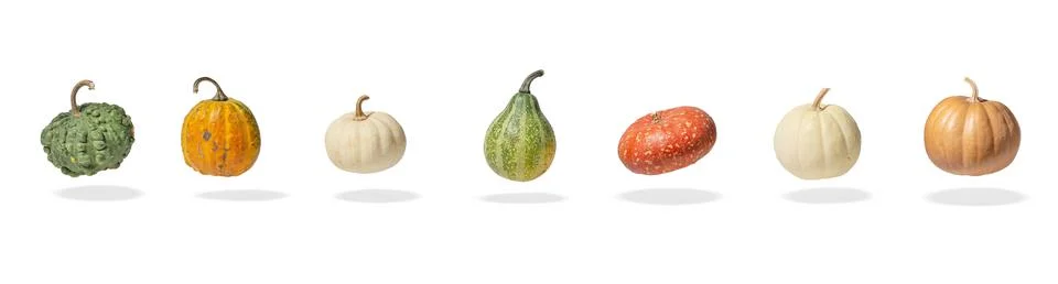 Different pumpkins on a white isolated background Stock Photos