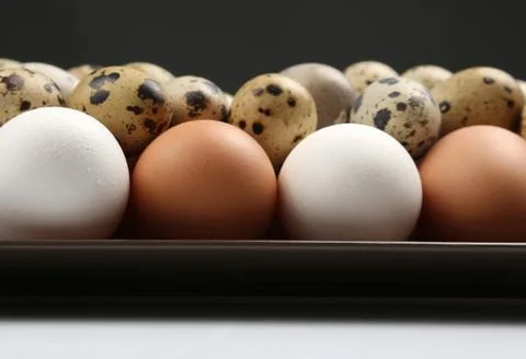 Different quail and chicken eggs lie together close-up. Stock Photos