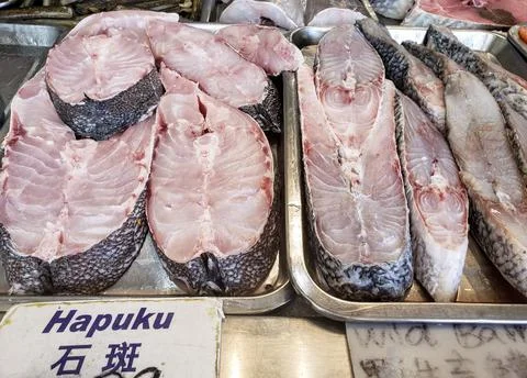 Different raw fresh fish meat of cross sectional cuts placed on trays Stock Photos