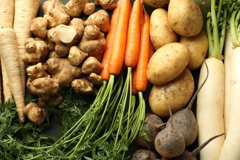 Different raw root vegetables on grey table, flat lay Stock Photos