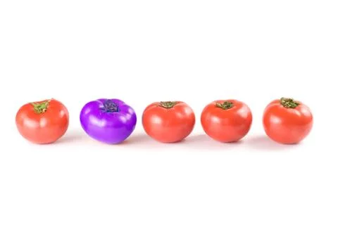 Different than the rest, tomatoes. Stock Photos