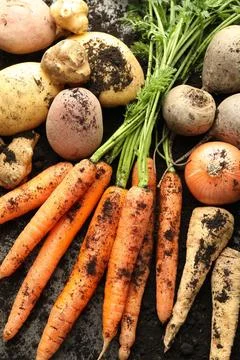 Different root vegetables and soil on grey table, flat lay Stock Photos