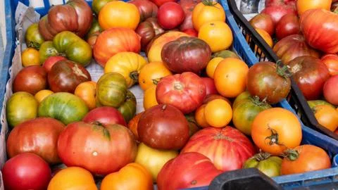 Different rustic tomatoes from the market Stock Photos