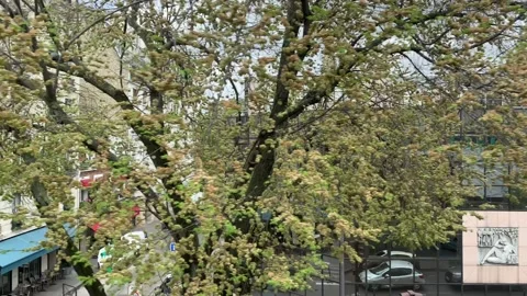 Different scenes of Paris as seen from a moving subway train in exterior Stock Footage 145174107