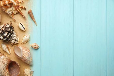 Different sea shells and sand on light blue wooden table, flat lay. Space for Foto stock
