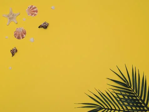 Different sea shells and starfish with palm leaves on bright yellow background 写真素材