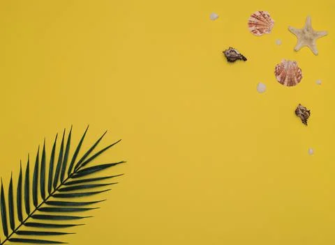 Different sea shells and starfish with palm leaf on bright yellow background Stock Photos
