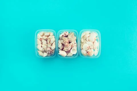 Different sea shells on blue background Top view flat lay Stock Photos