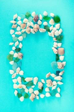 Different sea shells on blue background Top view flat lay Stock Photos