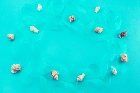 Different sea shells on blue background Top view flat lay Stock Photos