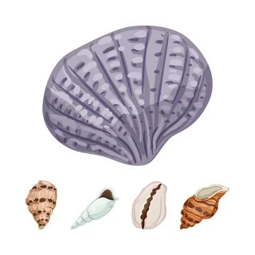 Different sea shells creating a diverse collection Ilustração Stock
