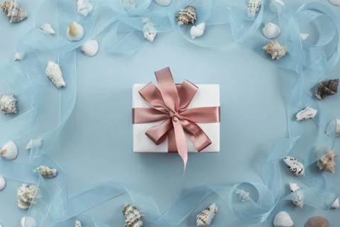 Different sea shells on gray background Top view flat lay Stock Photos