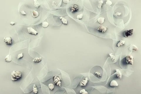 Different sea shells on gray background Top view flat lay Stock Photos