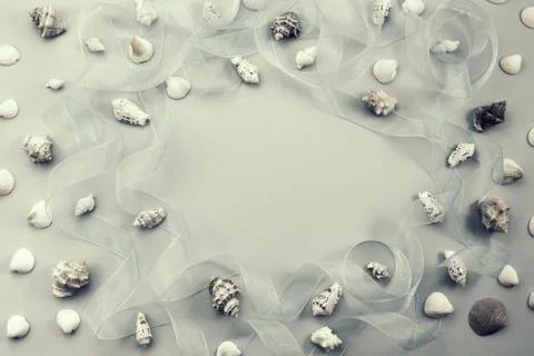 Different sea shells on gray background Top view flat lay Stock Photos