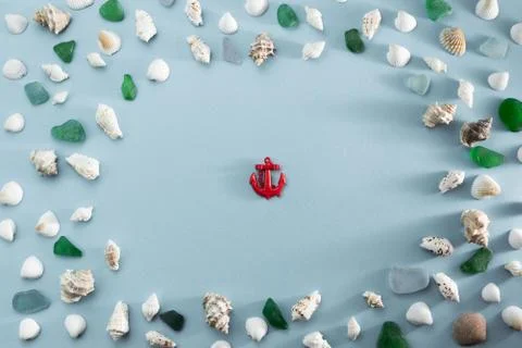 Different sea shells on gray background Top view flat lay Stock Photos