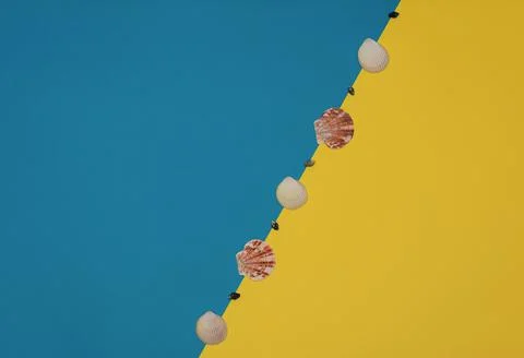 Different sea shells in a row on bright yellow and blue background. Summer ti Stock Photos