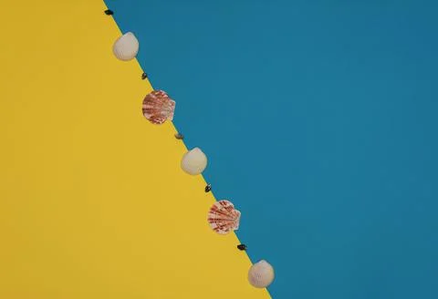 Different sea shells in a row on bright yellow and blue background. Summer ti 写真素材