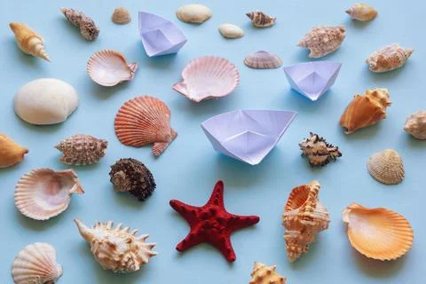 Different sea shells, starfish and white paper boats on blue background Stock Photos
