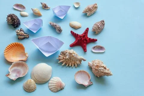 Different sea shells, starfish and white paper boats on blue. Copy space Stock Photos