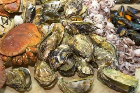 Different seafood close-up Stock Photos