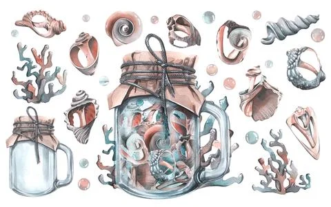 Different seashells inside a glass jar with a handle and closed craft paper with Illustration