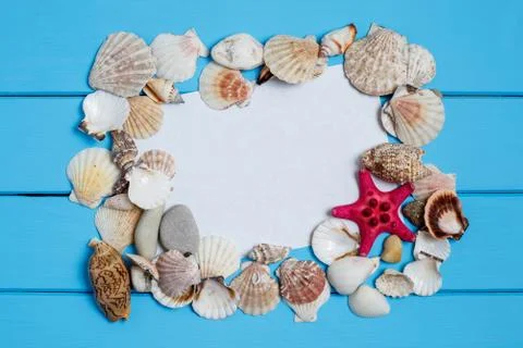 Different seashells, a marine frame on a turquoise painted wooden background Stock Photos