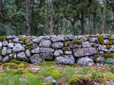 Different sections of a very old stone wall covered in moss, at the hilsidel  Foto stock