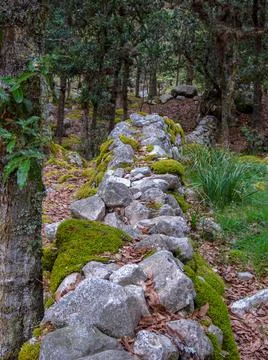 Different sections of a very old stone wall covered in moss, at the hilsidel  Stock Photos