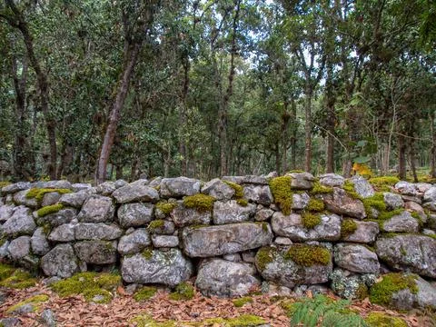Different sections of a very old stone wall covered in moss, at the hilsidel  Stock Photos
