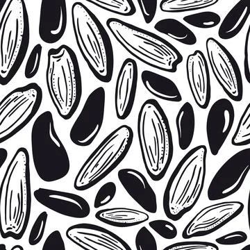 Different seeds. Vector seamless pattern. Raw rice, sunflower, white sesame g Stock Illustration