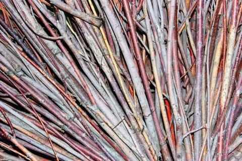 Different set of bare brown branch, creative wood background or wallpaper, brown Stock Photos