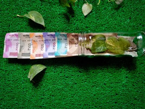 Different set of Indian rupees kept in glass bottle with money plants covered Stock Photos