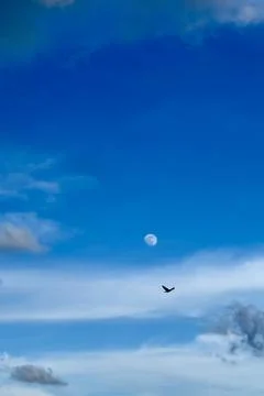 Different shades of sky Stock Photos
