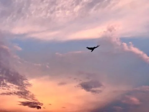 Different shades of sky Stock Photos