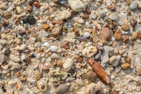 Different shape sea shell and stone pieces texture Stock Photos