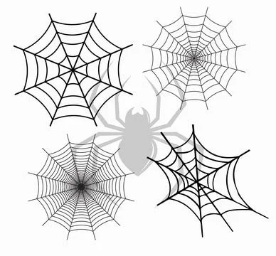 Different shapes of spider webs with a spider in the background Stock Illustration