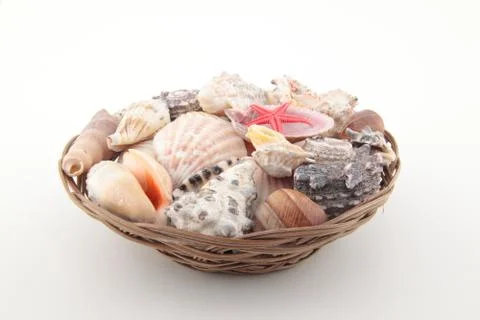 Different shells on basket Stock Photos